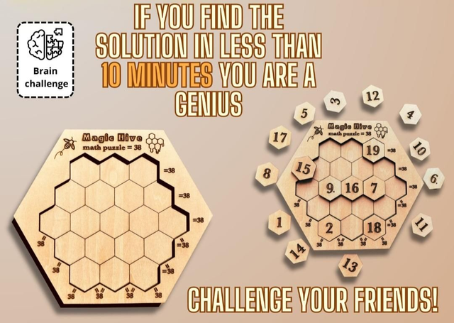 Wooden puzzle with numbers and text encouraging a brain challenge.